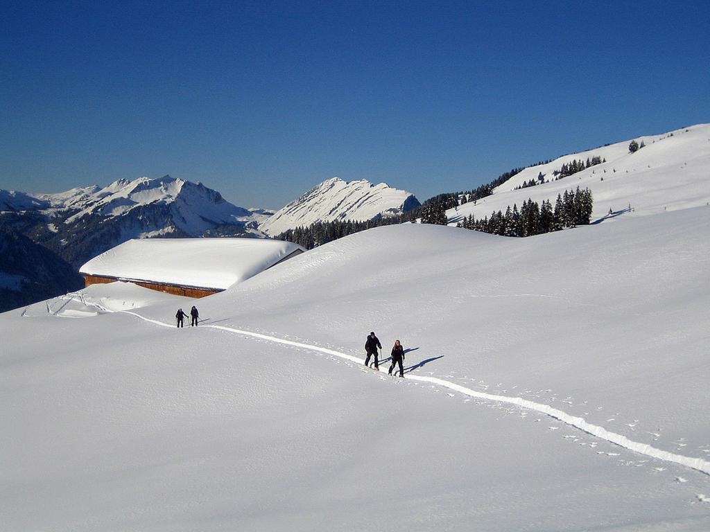 Caroline'S Appartement Au (Vorarlberg)